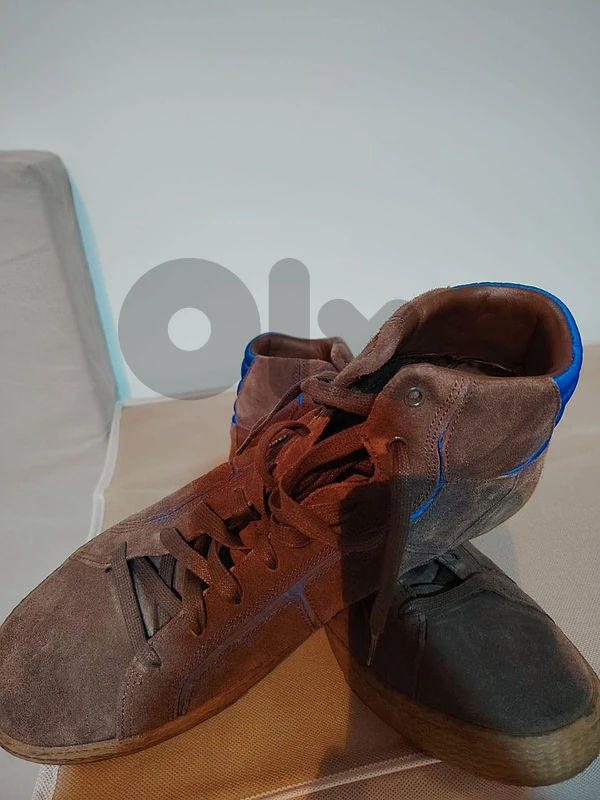 authentic polo and geox