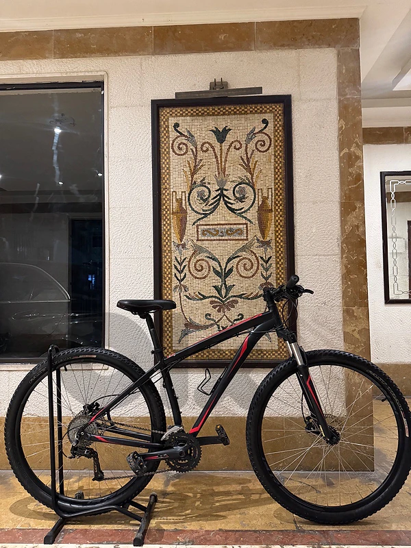 specialized 29
