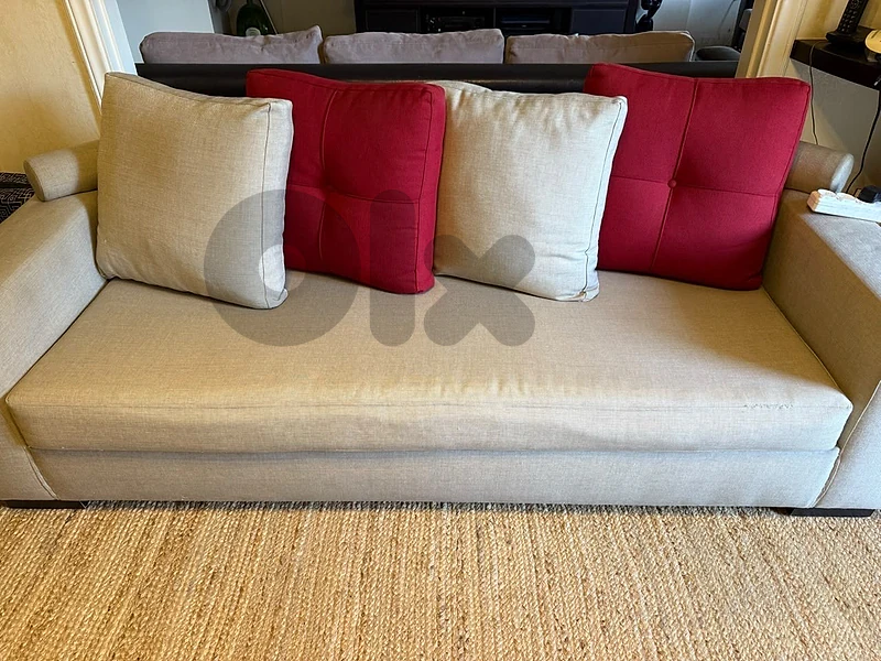 2 Pieces of Sofa Bed