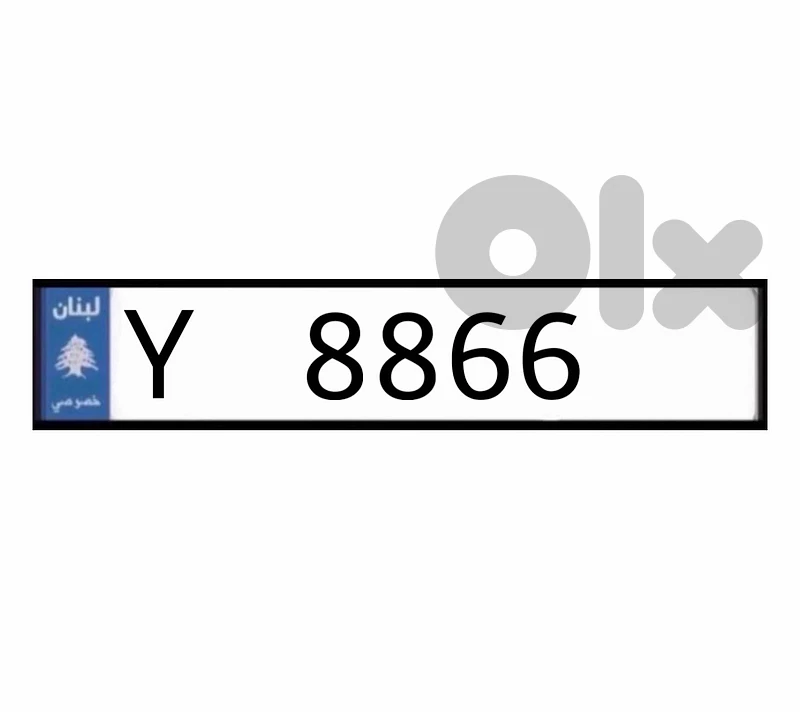 Y   8866