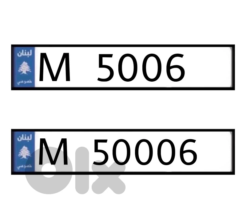 M   5006   &   M   50006