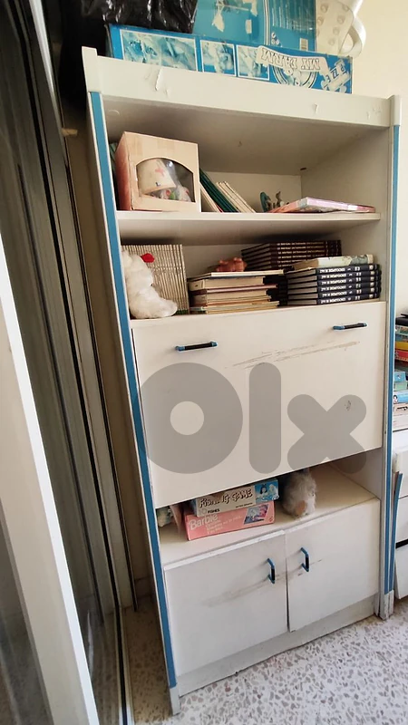 Solid Wood Children's Bookcase & Storage Cabinet