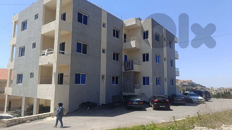 نبطية  حبوش