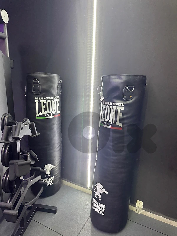 Boxing Bag(2pcs)