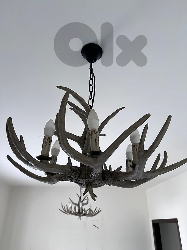 antler ceiling light