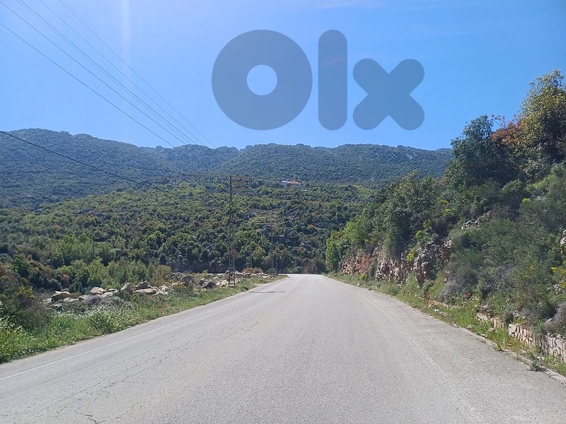land for sale in Deyrbella ارض للبيع في ديربللا