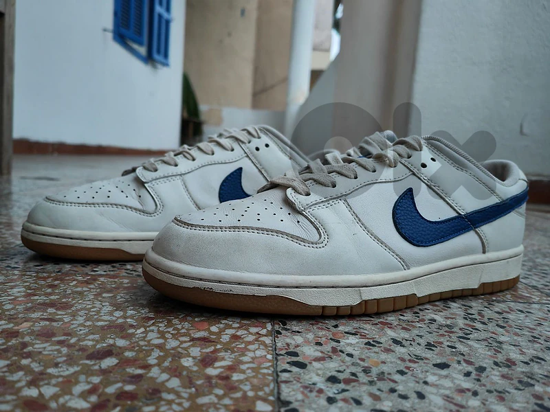 Nike Dunk Low