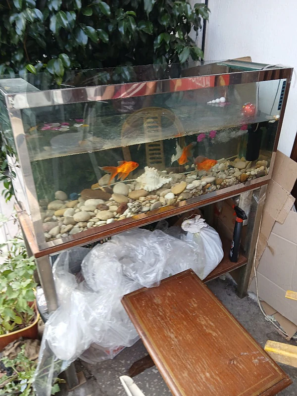 aquarium
