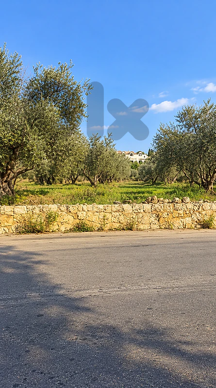Land for Sale in Ras Maska, Koura أرض للبيع في رأس مسقا، الكورة