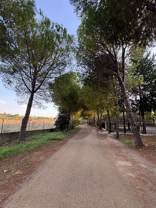 900 m2 residential land in bechmezzine surrounded by Pine trees 900 m2 residential land in bechmezzine surrounded by Pine trees