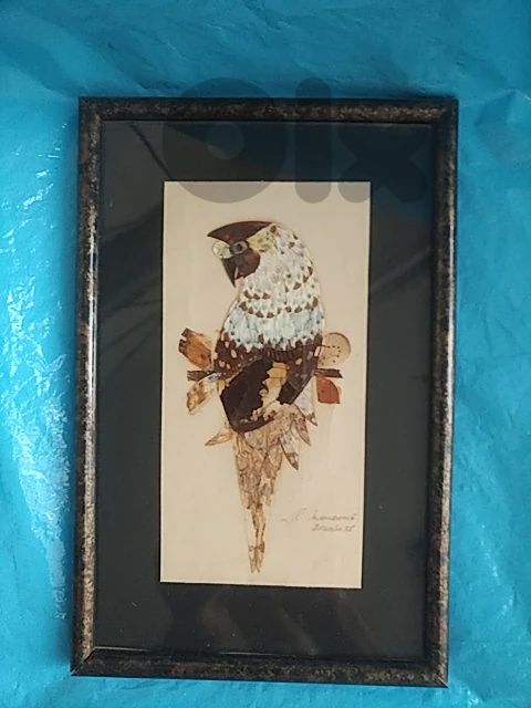 Vintage butterfly wing parrot artwork framed wall decor