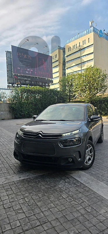Citroen C4 2019 Citroen C4 Cactus
