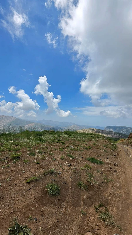 land for sale in Tannourine   أرض للبيع في تنورين