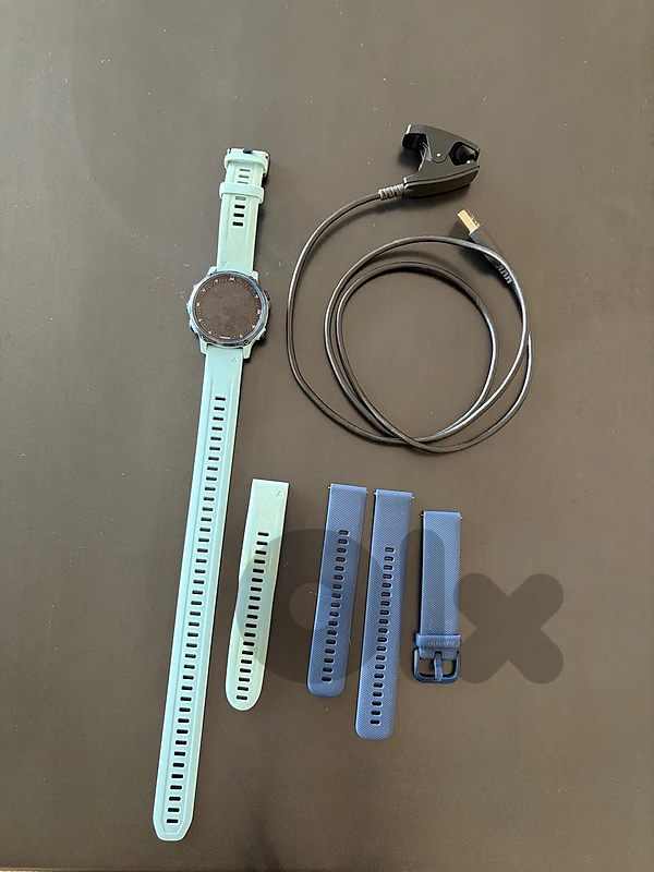 Garmin MK2S