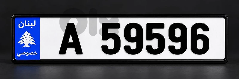 59596A