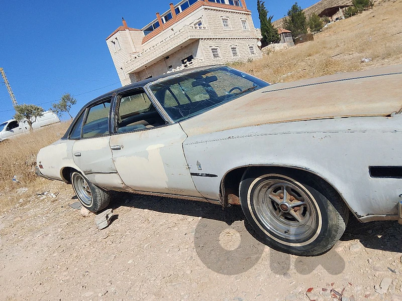 Buick Other 1975 1975