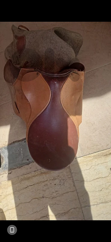 سرج حصان