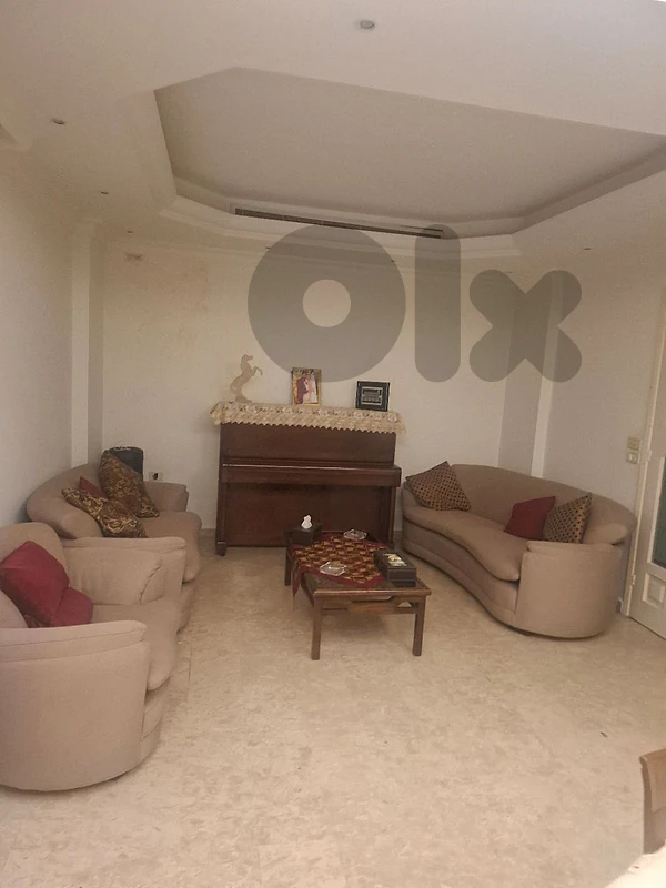 living room and salon