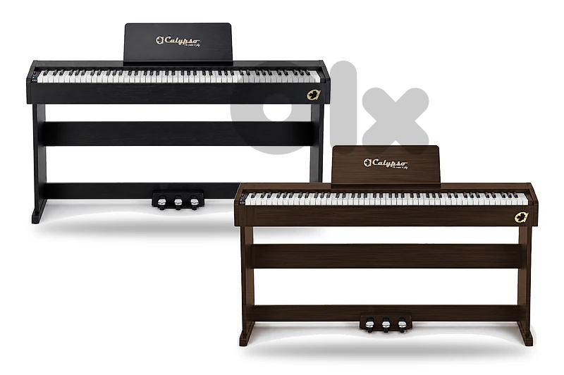 Calypso DP-1 Digital Piano (Multiple Colors Availble)