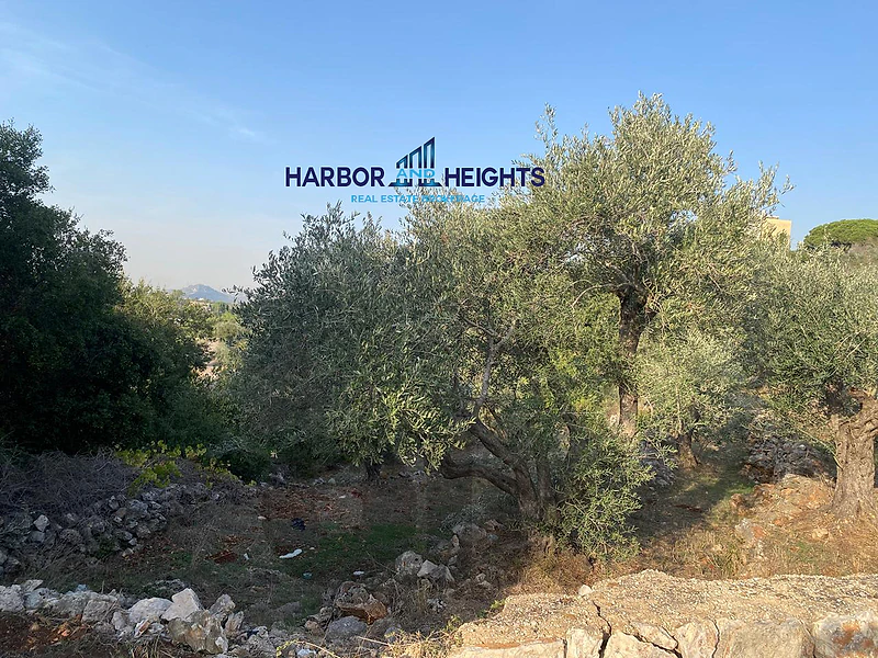 Land for sale in Dibbieh - أرض للبيع في الدبية