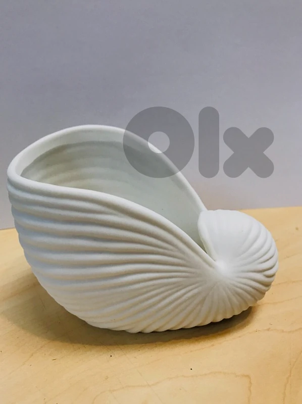 Nautilus Shell Fine Bone China Table Ornament