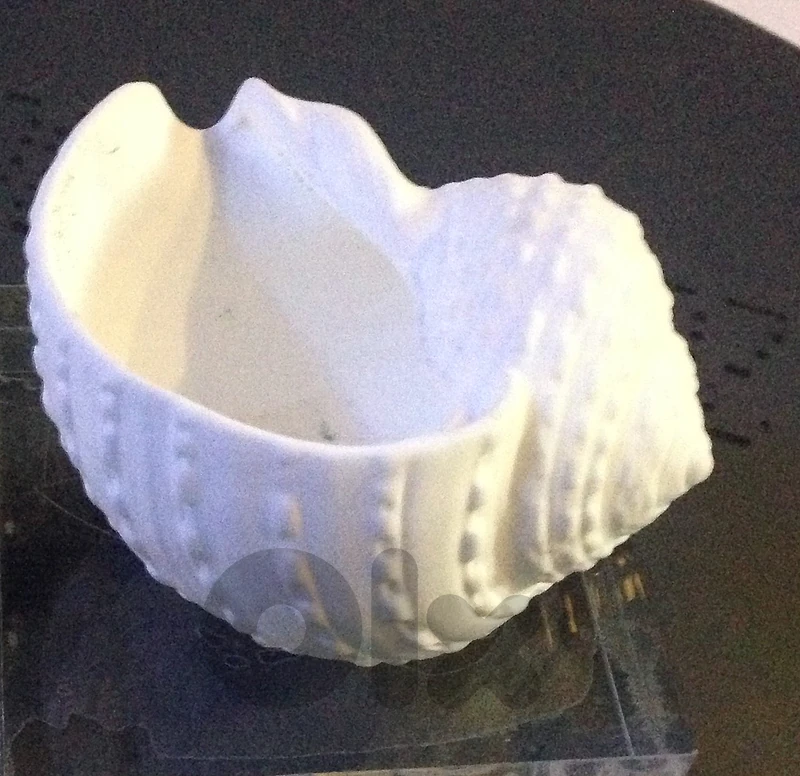 Conch Shell Fine Bone China Table Ornament