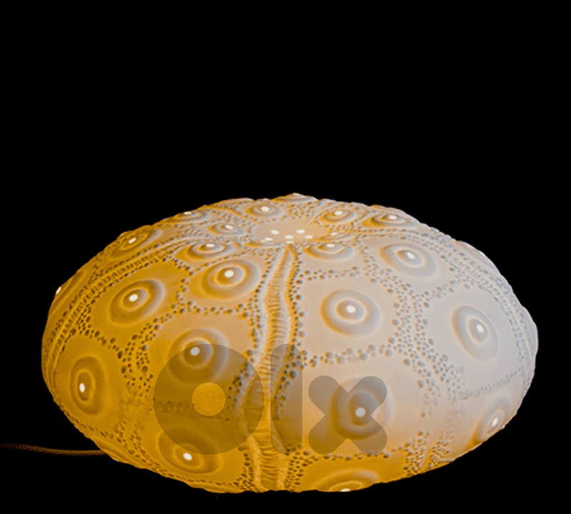 Sea Urchin Fine Bone China Lampshade