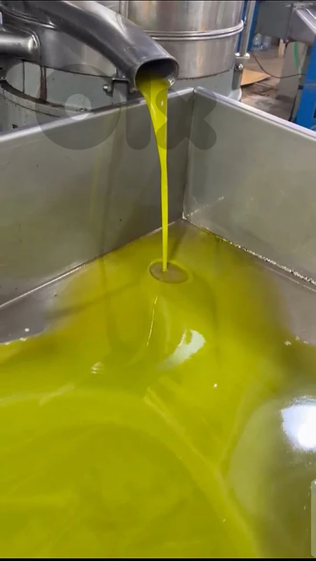 Extra virgin olive oil,زيت زيتون