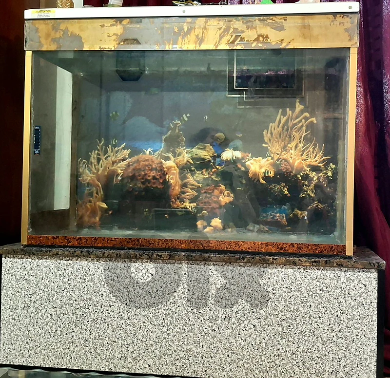 aquatrium for sale اكواريوم مع طاولة رخام