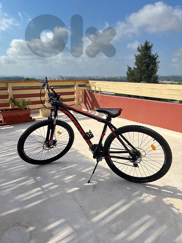 Mountain Bicycle