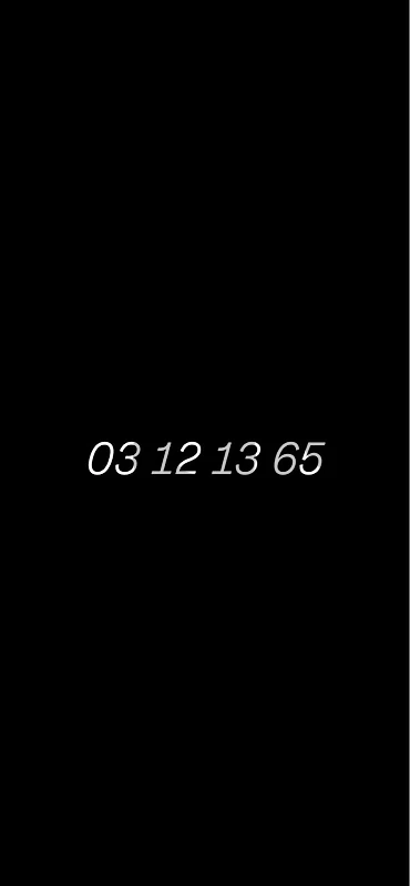 03 12 13 65