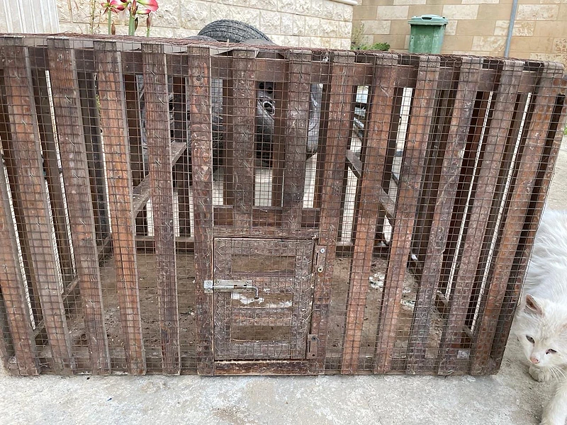 Animal cage