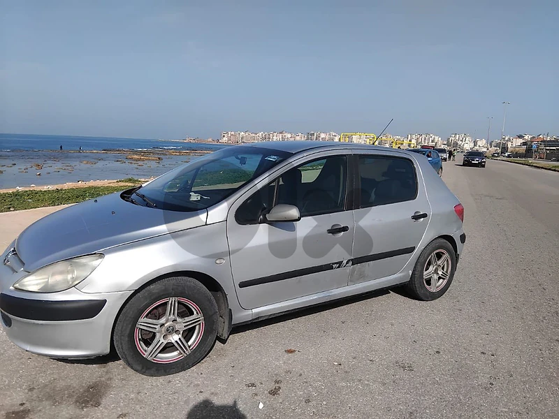 Peugeot 307