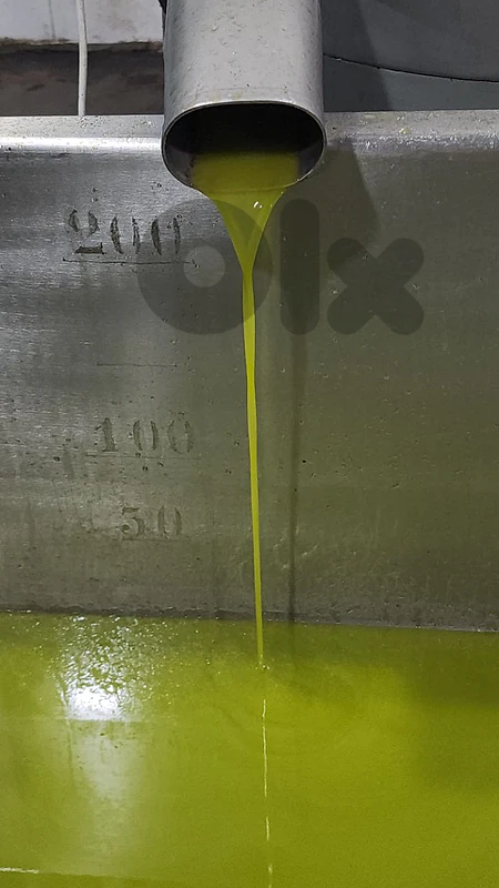 Extra Virgin Olive oil gallon