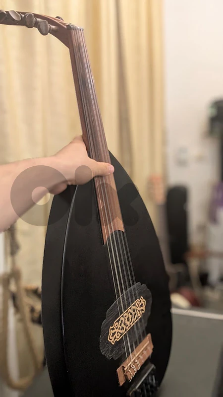 karout electric oud