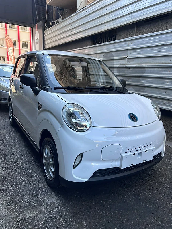 Lingbox 2024 - full electric 0 km