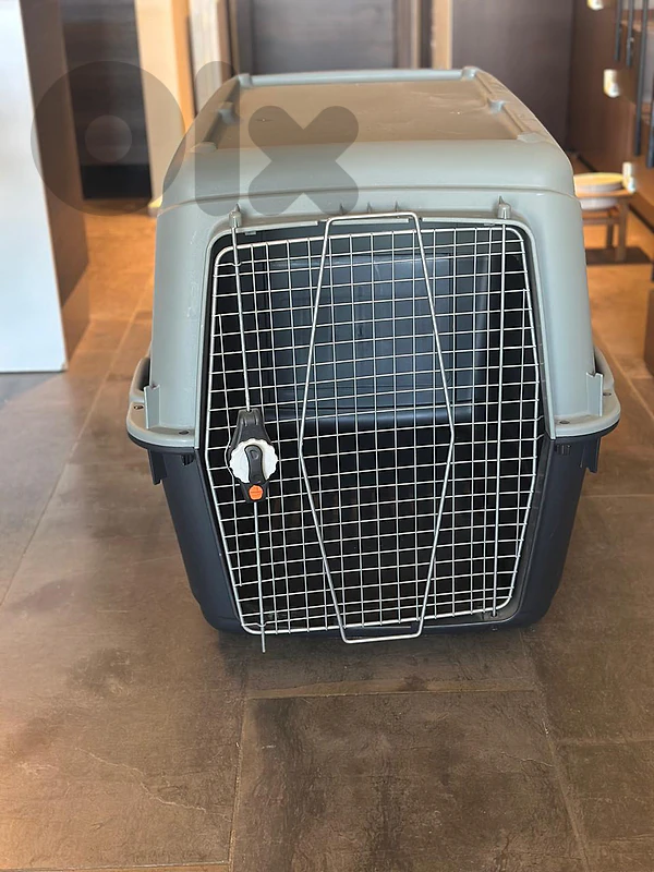 Size 7_ IATA-Compliant Travel Carrier for dogs
