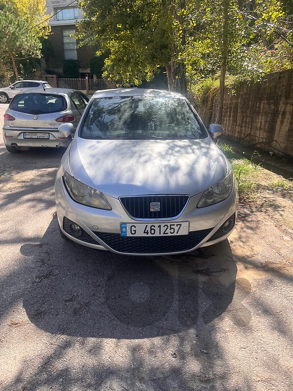 Seat Ibiza 2009