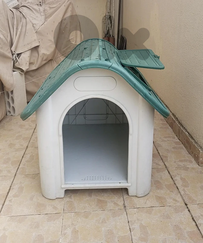dog house