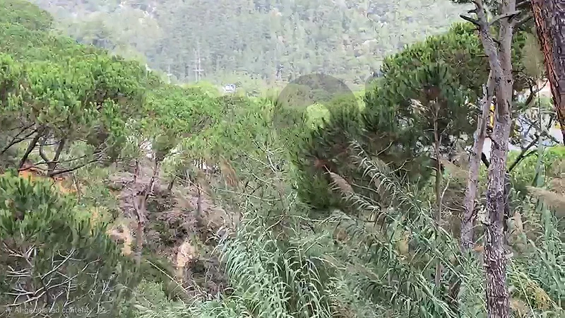 Land for Sale in Mar Chaaya/Mountain View
