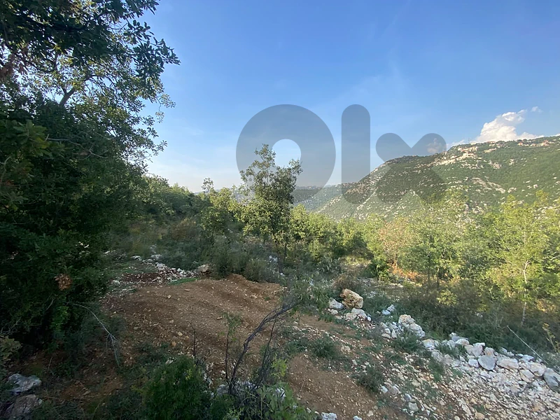 Land for sale in Chweya EL Chrine أرض للبيع في شرين بكفيا