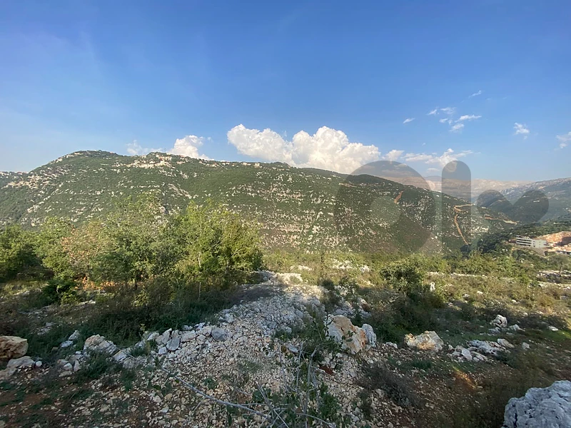 Land for sale in Chweya EL Chrine أرض للبيع في شرين بكفيا