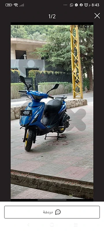زوق مصبح