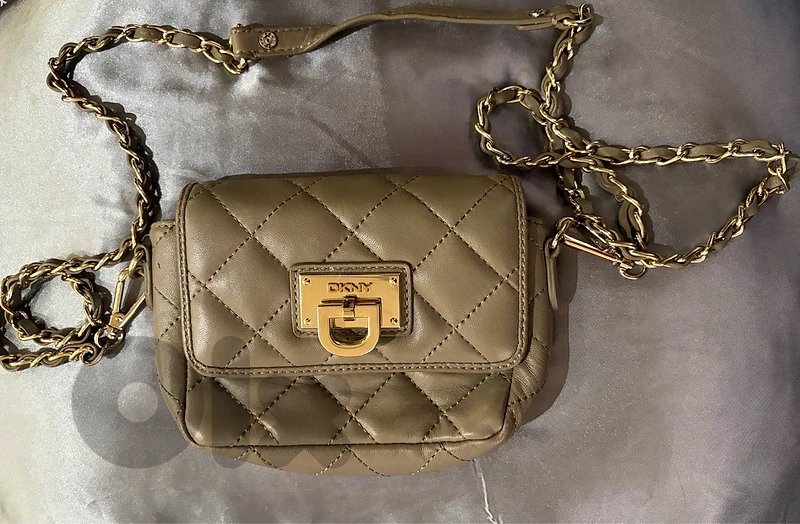 DKNY bag (taupe gray)