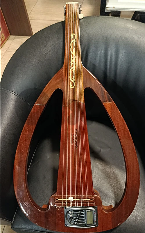 Oud electric