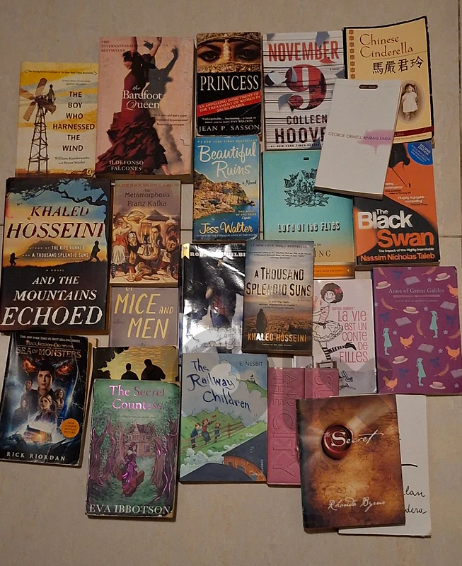 Novels/Riweyet all for 40$
