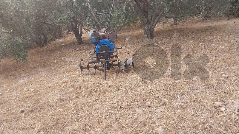 الجنوب