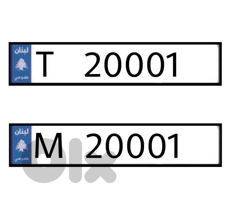 T 20001 & M 20001 T 20001 & M 20001