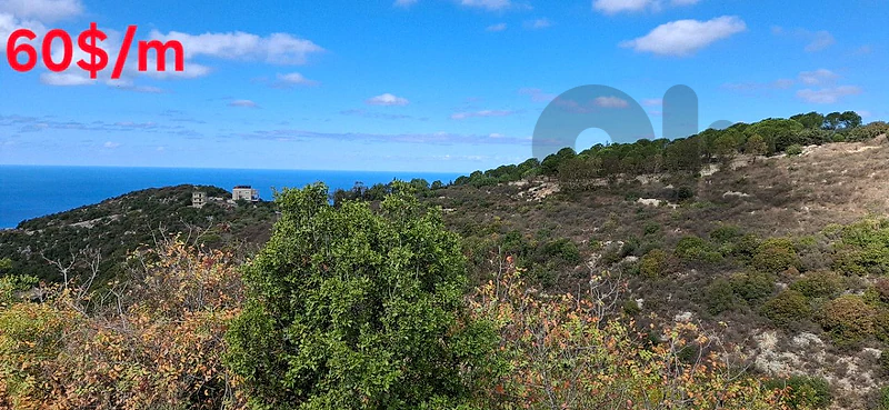 gharzouz land 6000m ,60$/m sea view