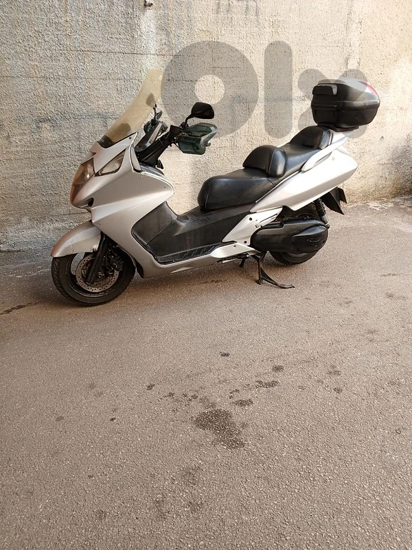 Silverwing 600